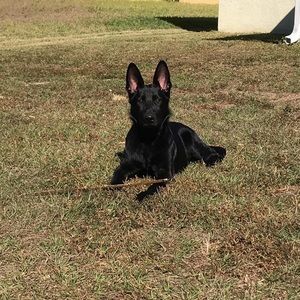 Meet your Posher, Audrey